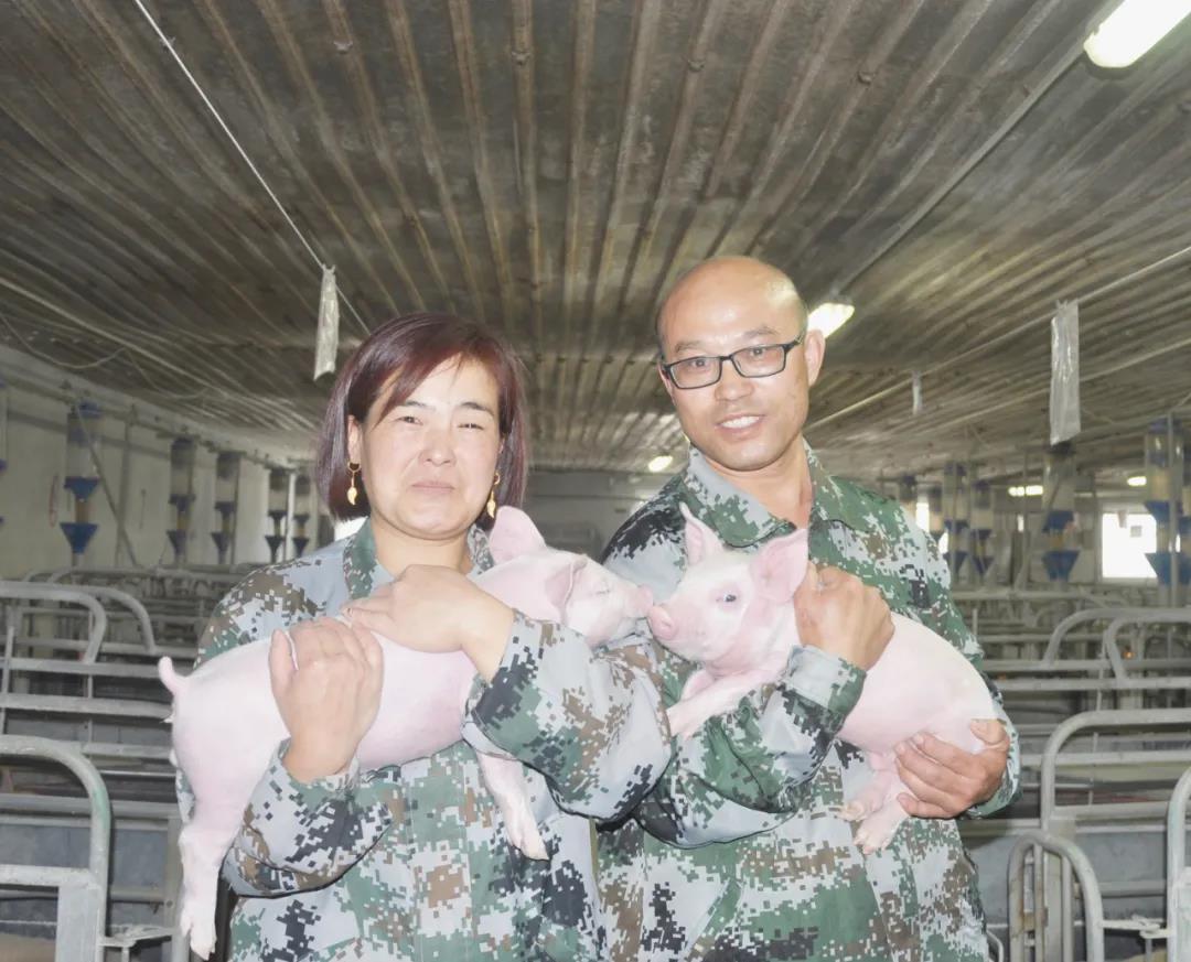 管家婆正版