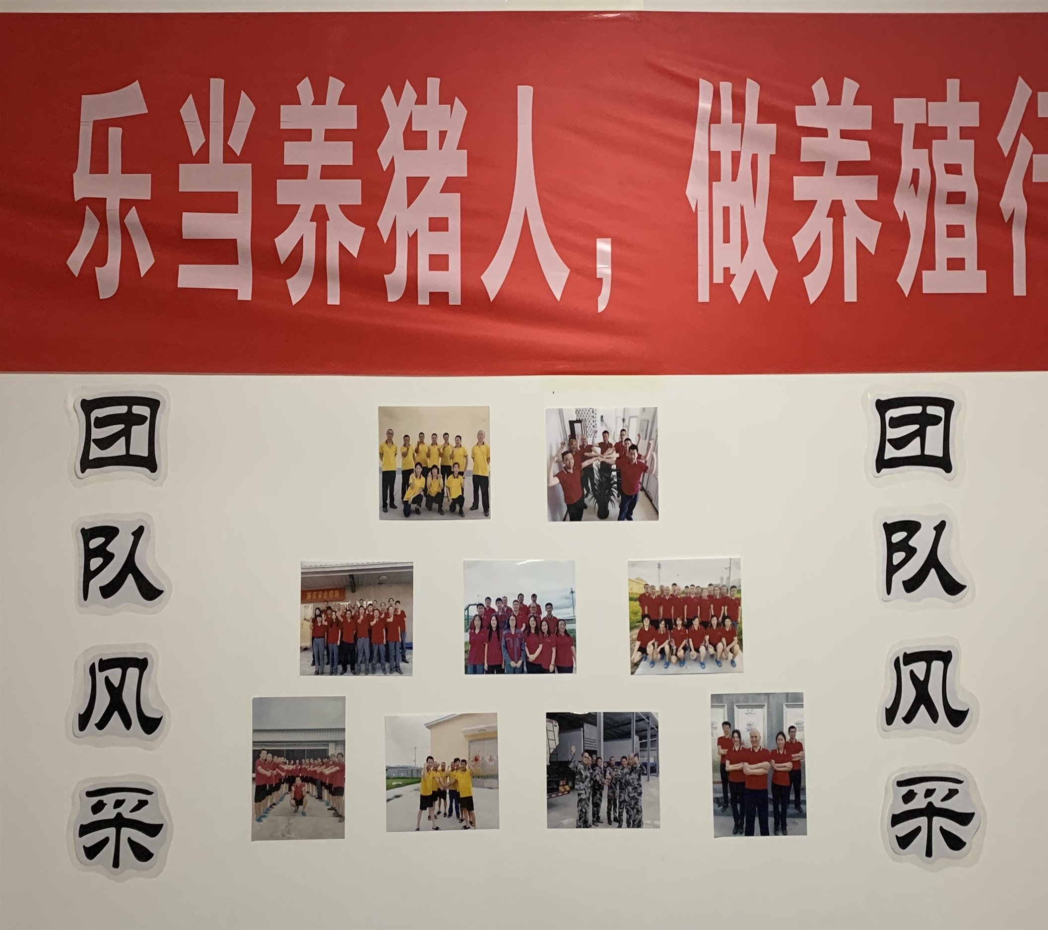 管家婆正版